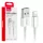 Amio USB - Lightning (iPhone) 100 cm
