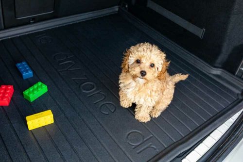 Seat Ibiza (V) ( 2017- ) DryZone Frogum passgenaue Kofferraumwanne