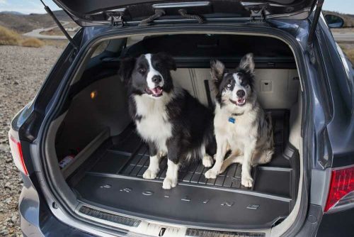 Toyota RAV4 (V) Hybrid ( 2018- ) / Suzuki Across ( 2020- ) FROGUM Pro-Line hochwandige Kofferraumwanne