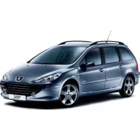 Peugeot 307 Gummifußmatte