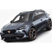 Cupra Formentor Gummifußmatte