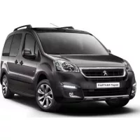 Peugeot PARTNER Gummifußmatte