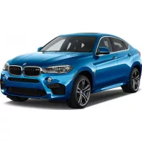 BMW X6 Gummifußmatte